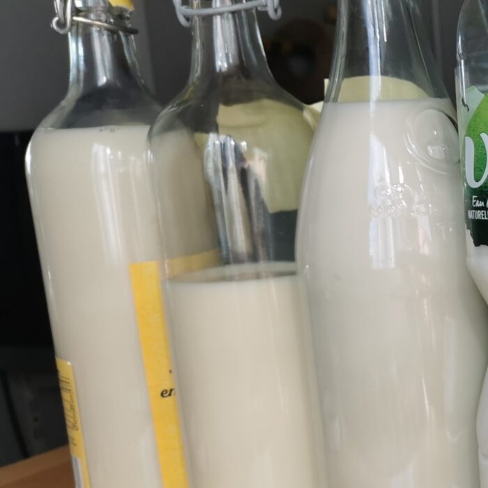 Et si on faisait une dégustation de jus de soja du sud ouest ?